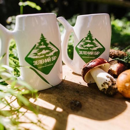 Zelenyy Bir Skhidnytsia Exterior foto