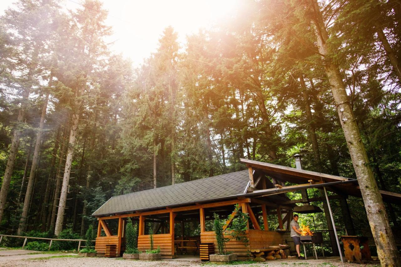 Zelenyy Bir Skhidnytsia Exterior foto