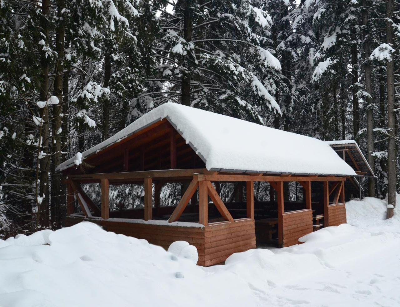 Zelenyy Bir Skhidnytsia Exterior foto