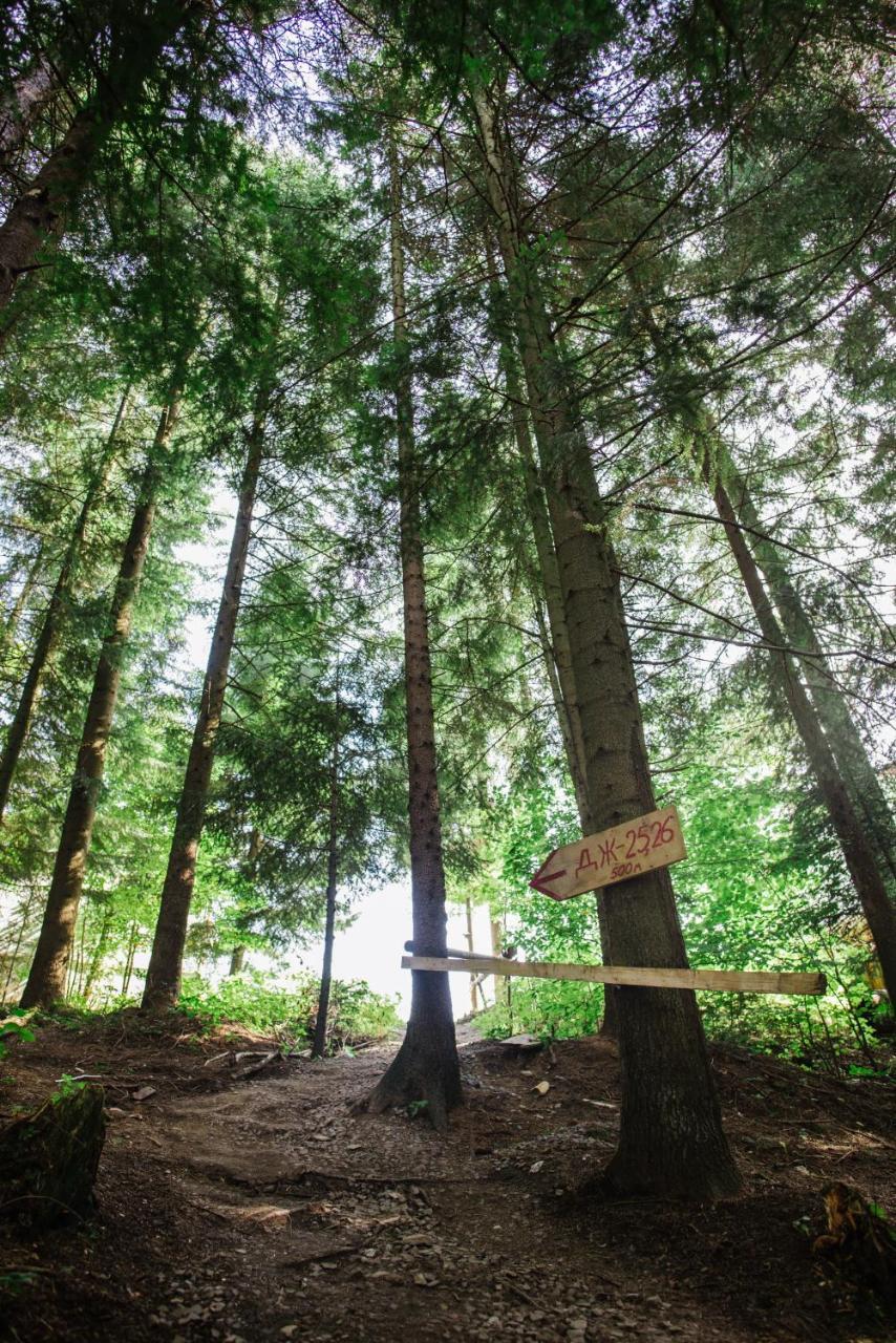 Zelenyy Bir Skhidnytsia Exterior foto