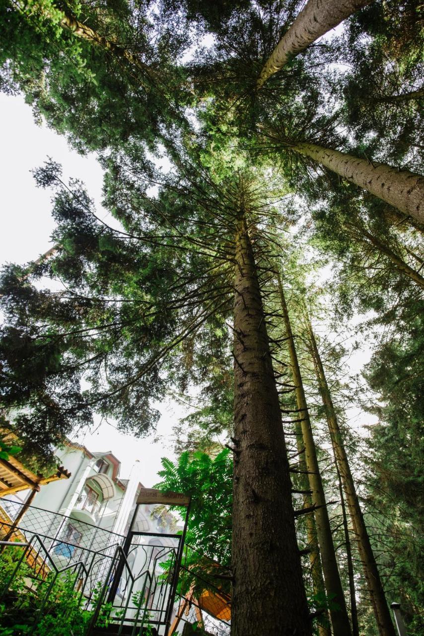Zelenyy Bir Skhidnytsia Exterior foto