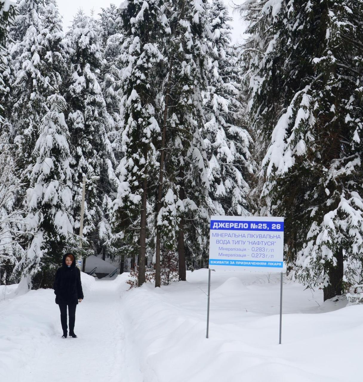 Zelenyy Bir Skhidnytsia Exterior foto